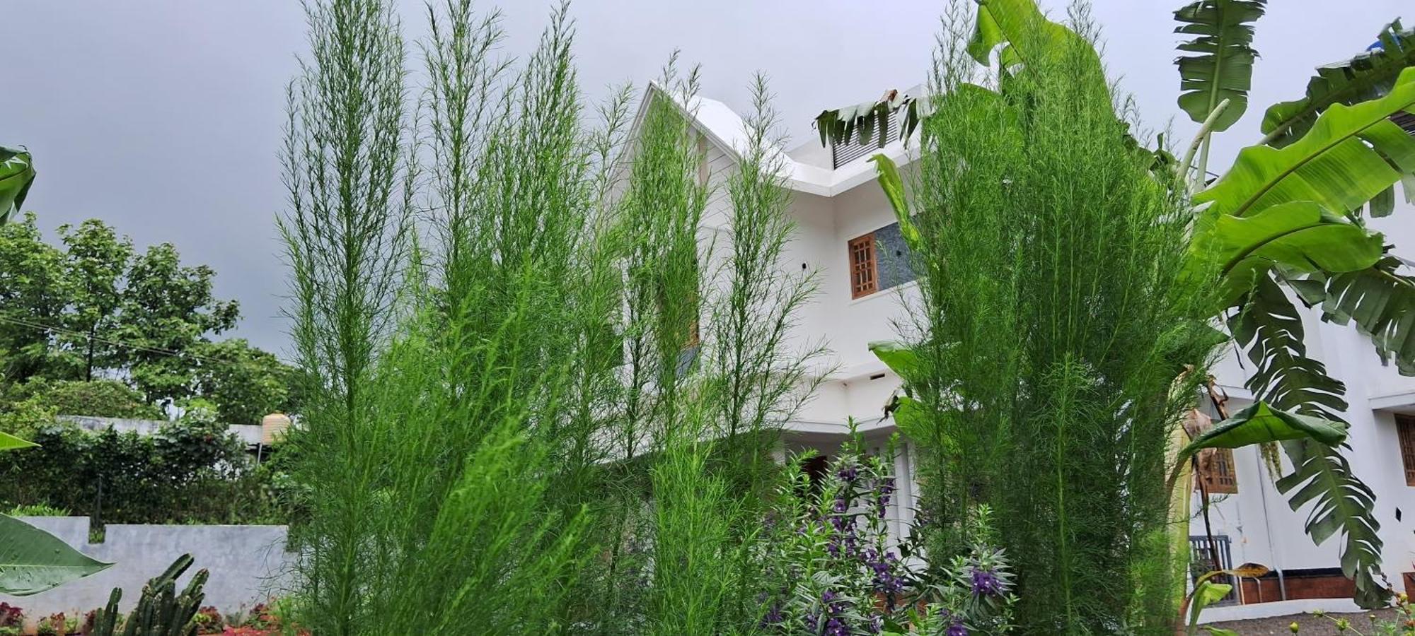 Rockland Holidays Ramakkalmedu Exterior photo